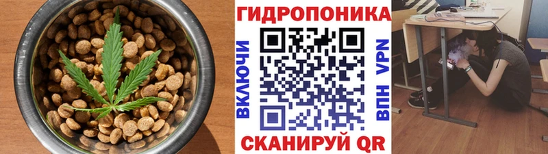 блэк спрут вход  Перевоз  Еда ТГК марихуана 