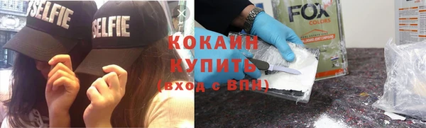стаф Арсеньев