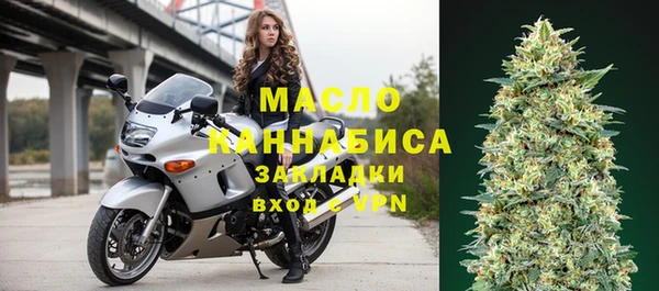 стаф Арсеньев