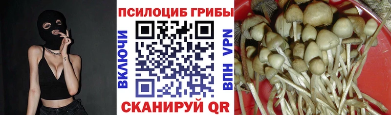 МЕГА ONION Перевоз Псилоцибиновые грибы Magic Shrooms